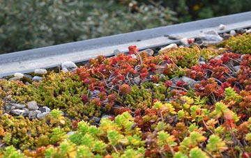 the cost of Downicary green roof installation