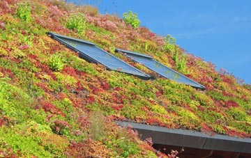 Downicary living roof systems