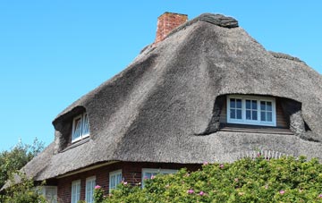 thatch roofing Downicary, Devon